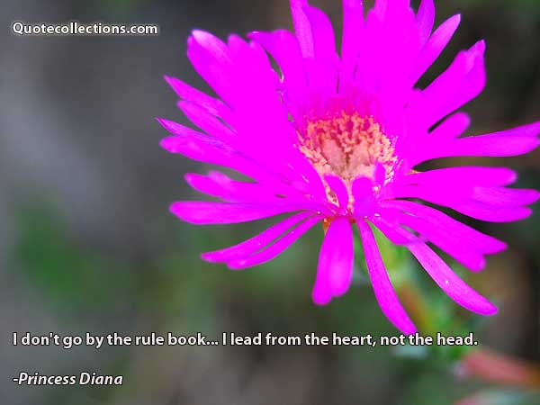 Princess Diana Quotes3